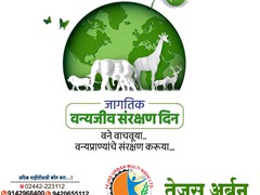 WhatsApp Image 2021-03-03 at 8.30.46 PM